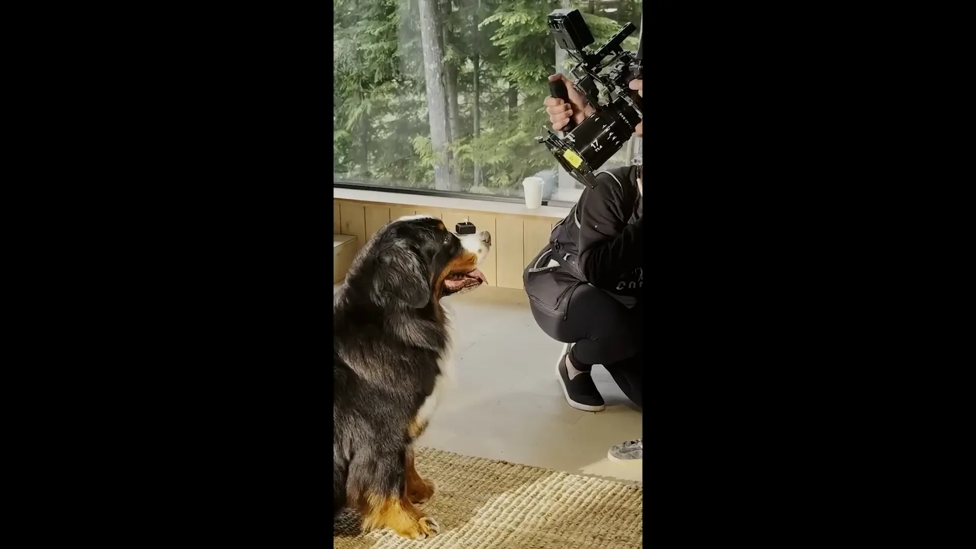An animal trainer works beside a dog indoors