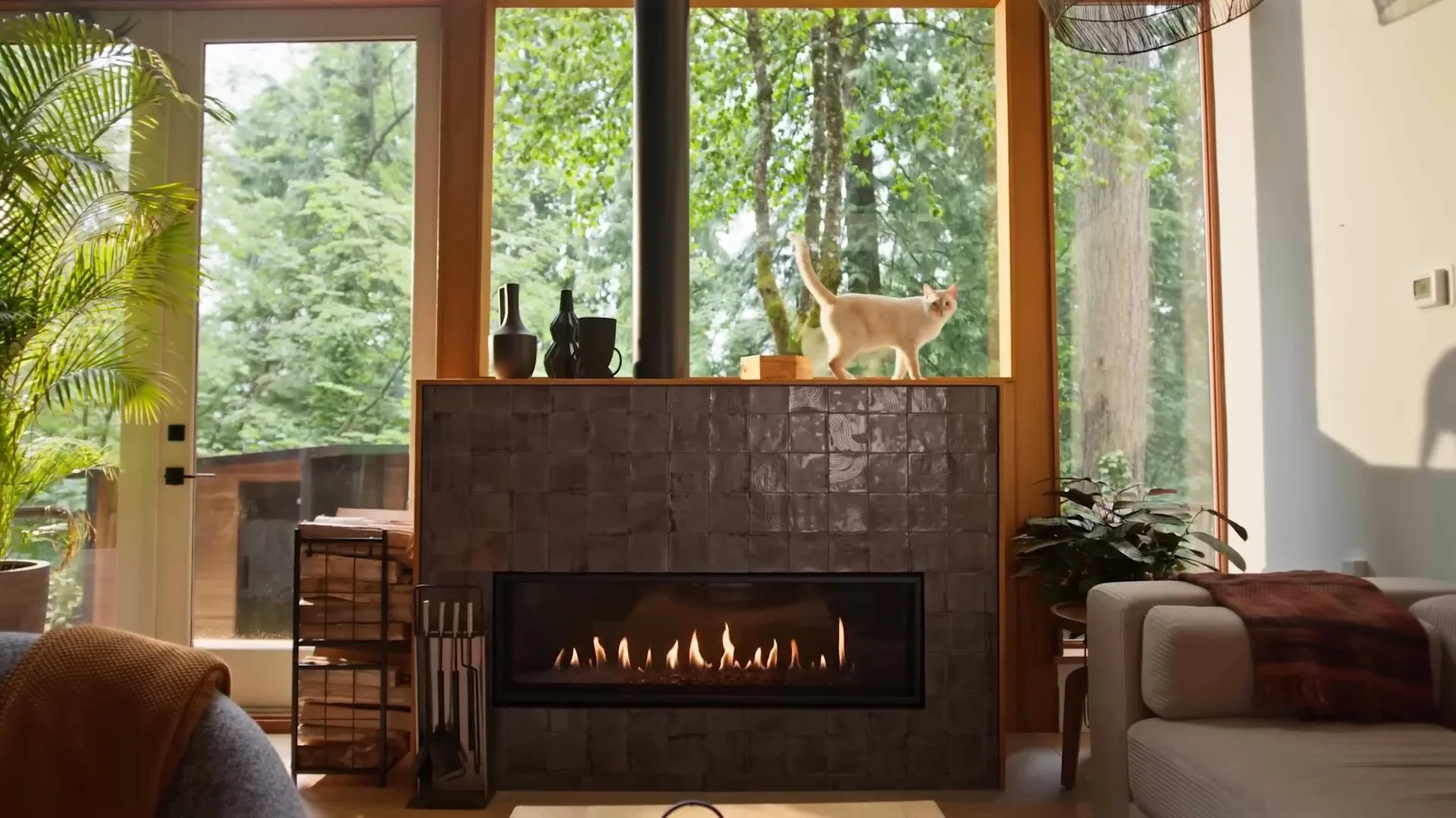 A cream cat walks the mantel above a fireplace