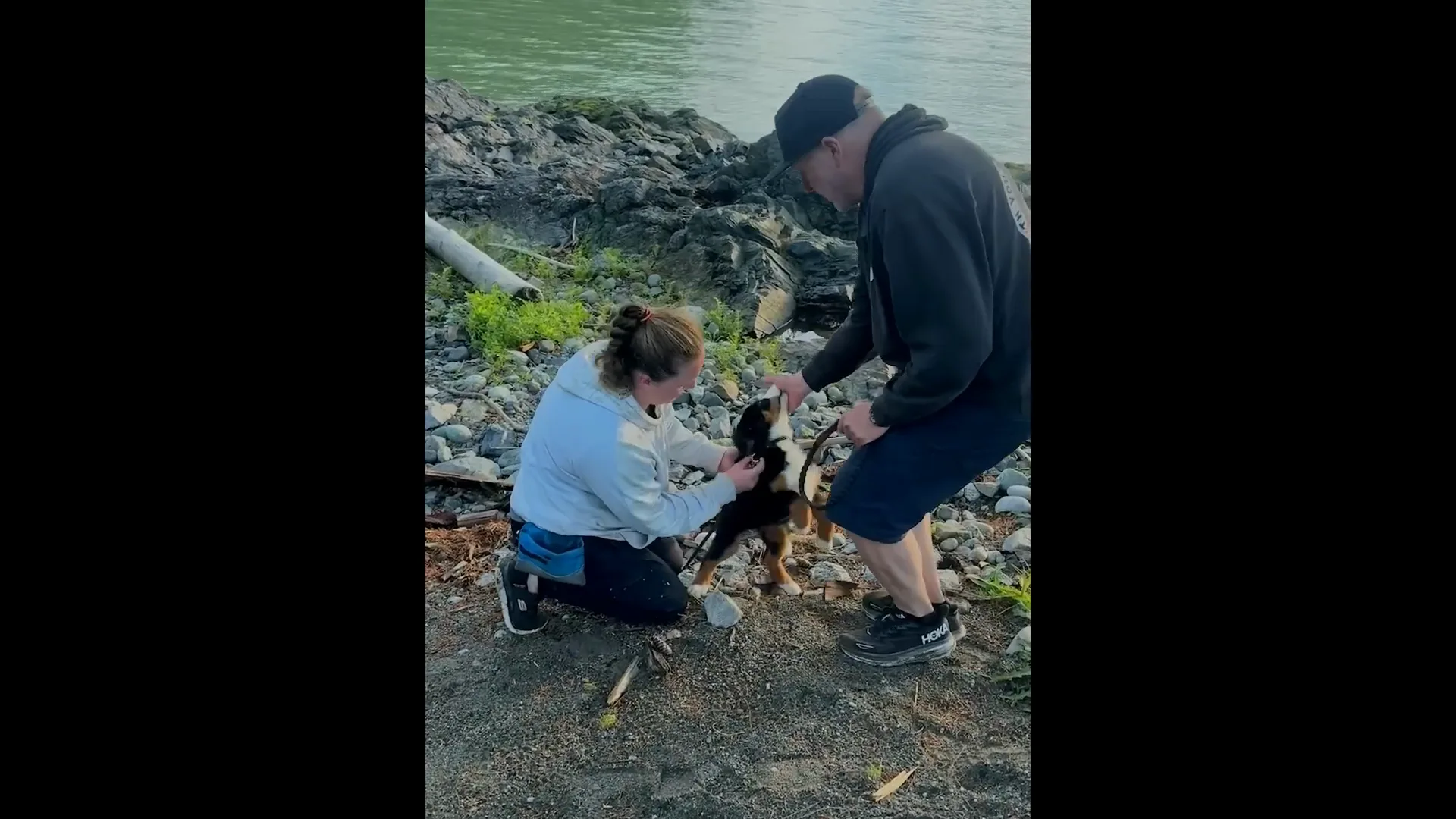 Two animal trainers prepare a dog on the rocky shore