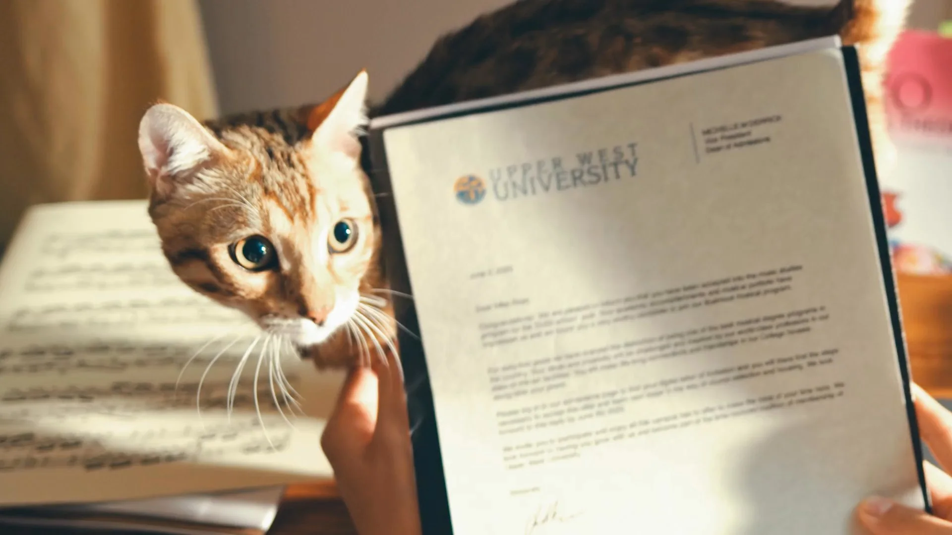 A curious cat peers over an open music book