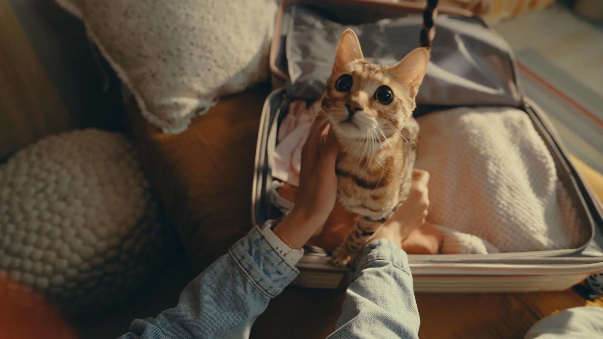 A cat pauses attentively beside a piano keyboard